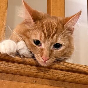 Meet your Posher, Mar